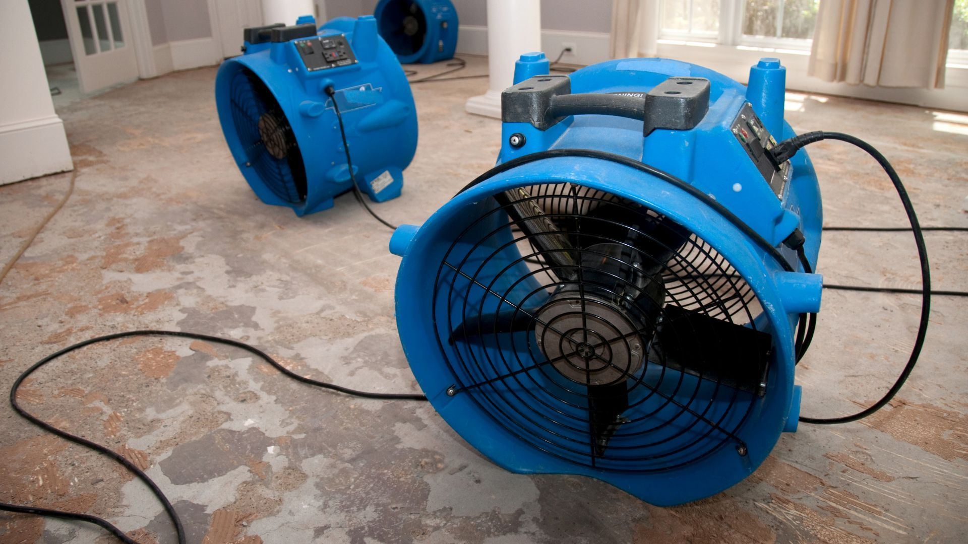 Residential Carpet Cleaning Service in Largo, FL Three blue industrial fans on a carpeted floor, with cords attached, in a room with curtains.