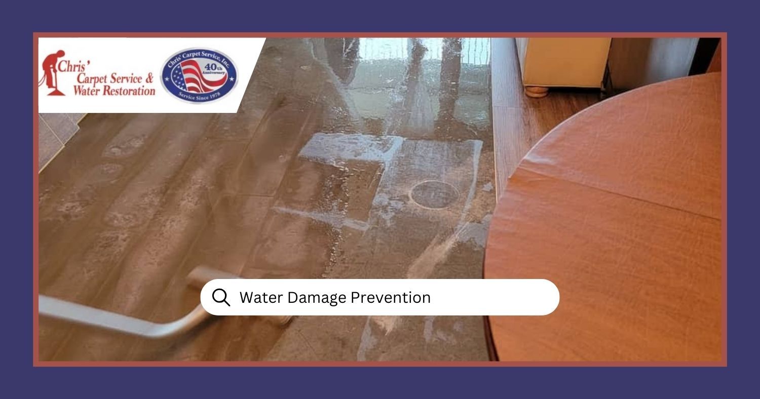 Water Damage Prevention 101: Protecting Your Home from Leaks and Floods