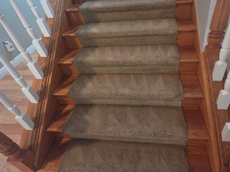carpet cleaning project was done in Clearwater, FL