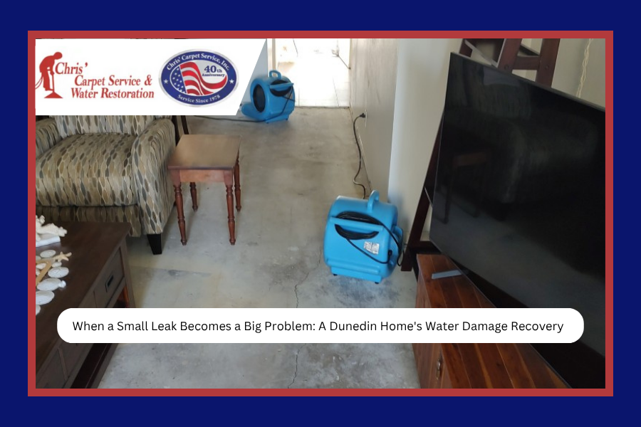 When a Small Leak Becomes a Big Problem: A Dunedin Home's Water Damage Recovery