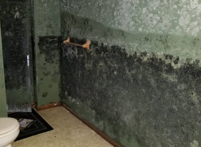 bathroom wall damage with black and white mold