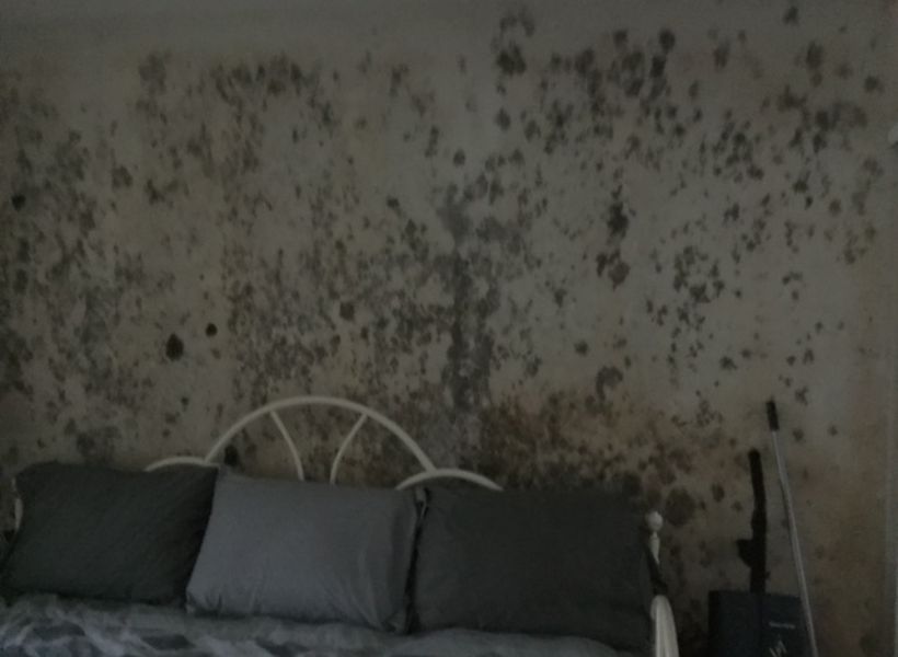 bedroom walls 2