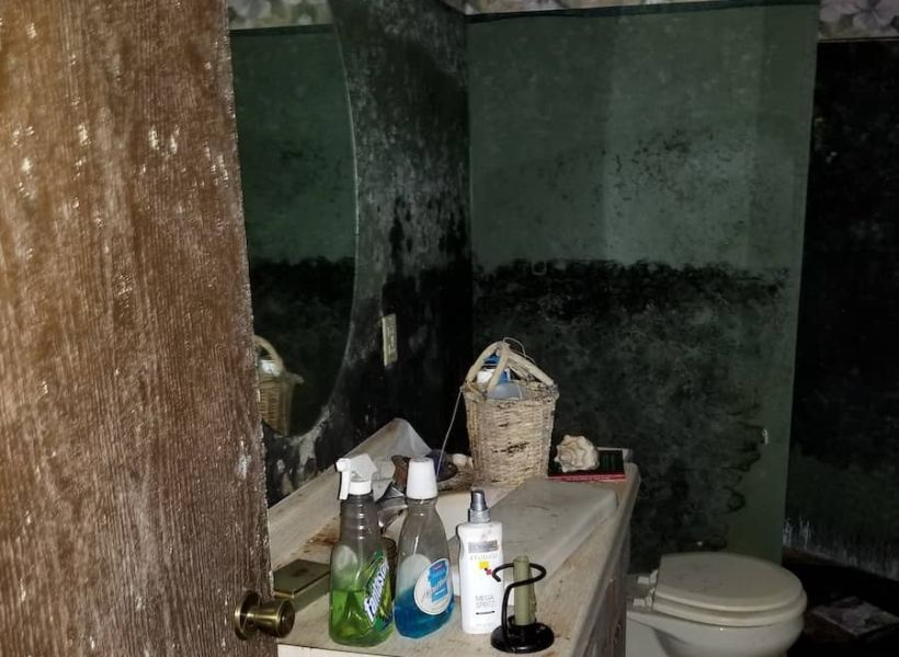 black and white mold in the bathroom