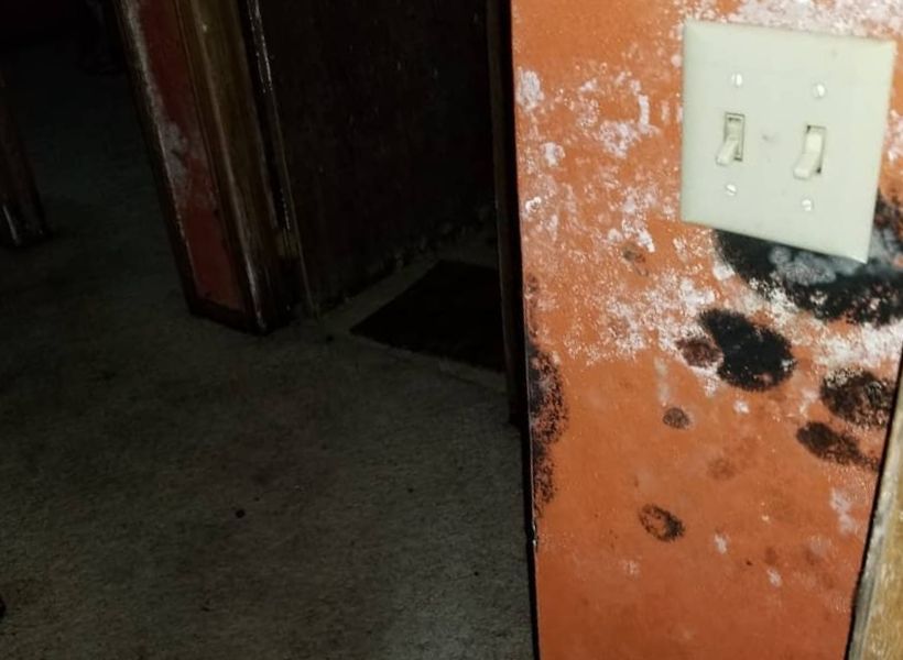 black and white mold in the hallway