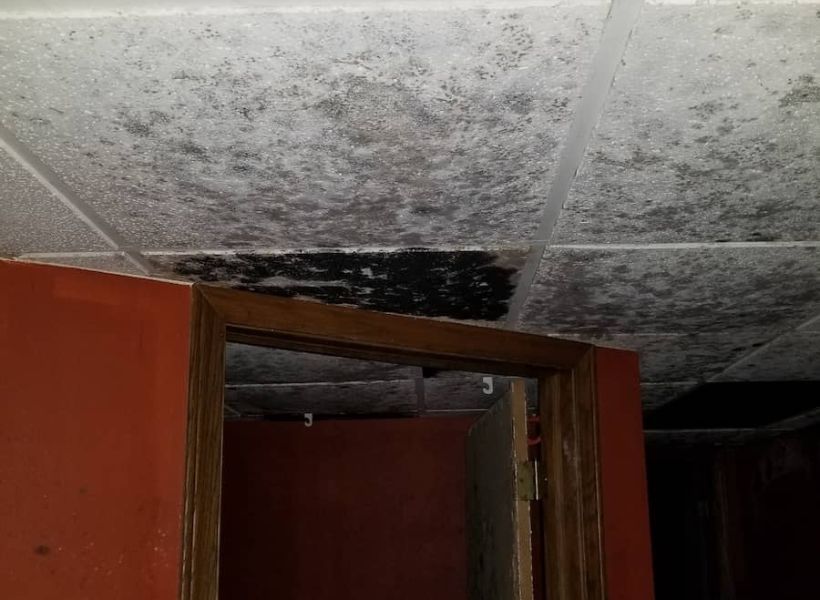 black mold on ceiling