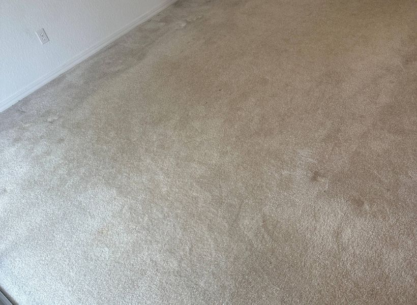 carpet cleaning 1