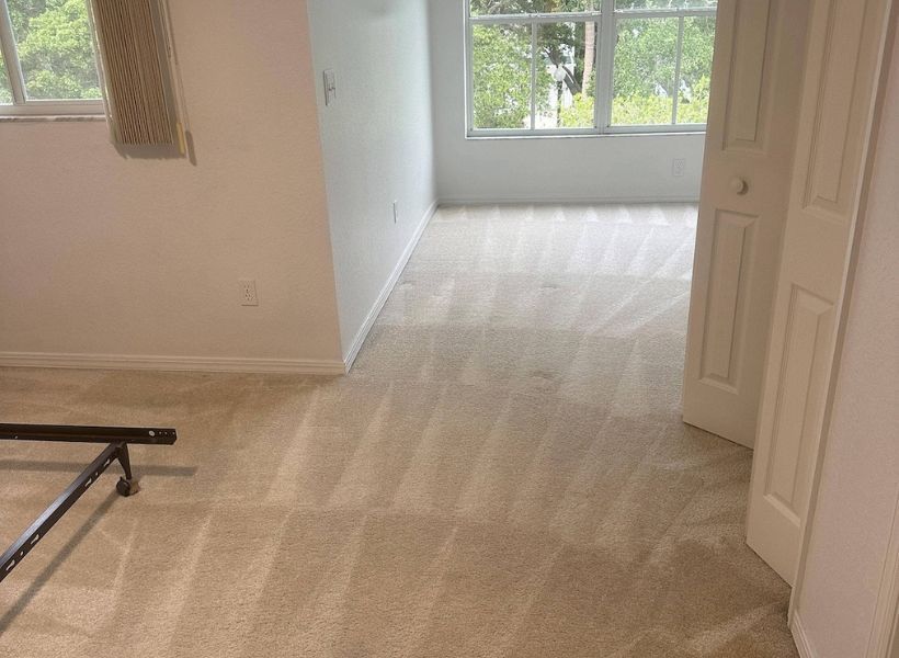 carpet cleaning 2