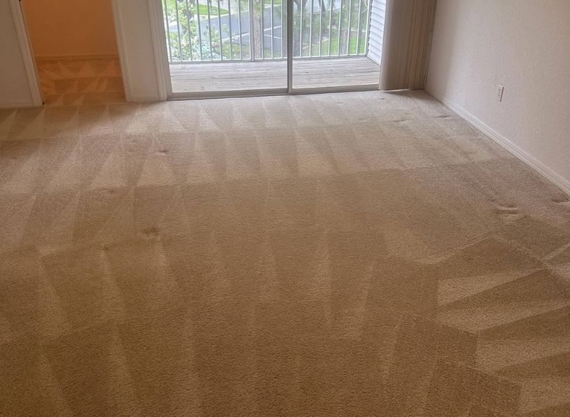 carpet cleaning 3
