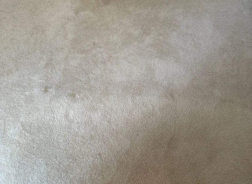carpet cleaning 4