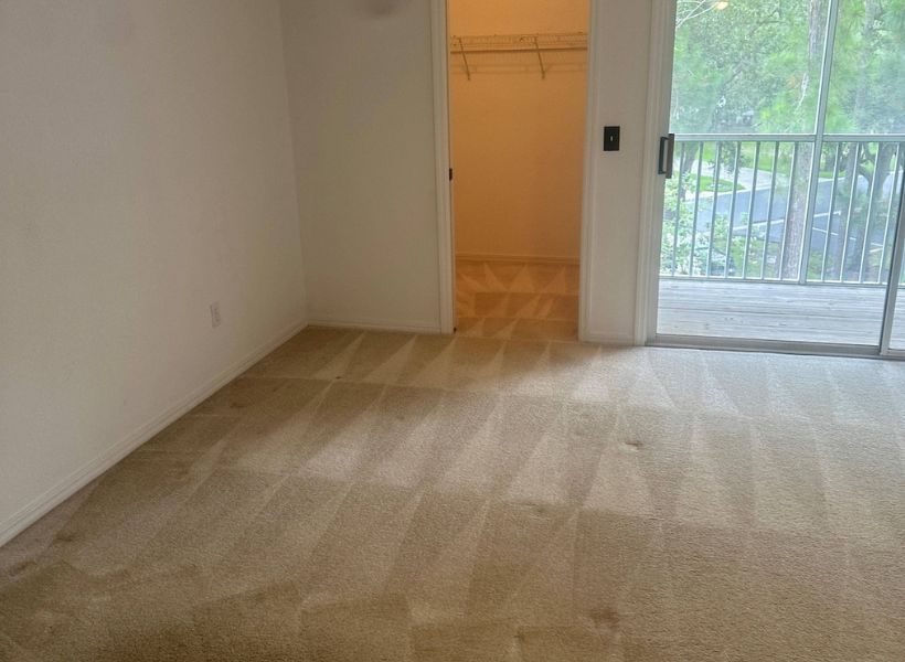 carpet cleaning 5