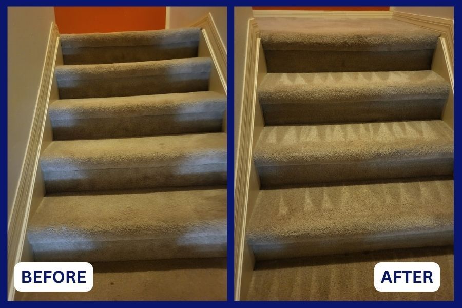 From Disaster to Delight: A Tampa Carpet Cleaning Success Story