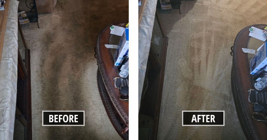 A Remarkable Carpet Makeover: Reviving Carpets in Largo, FL