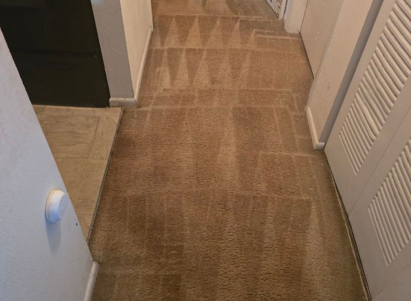 carpet-after 2