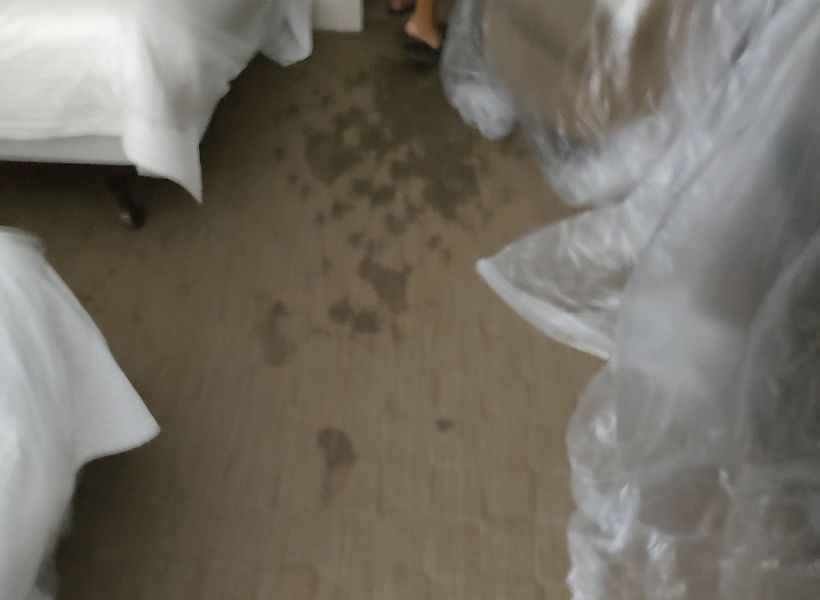 carpet-before 1