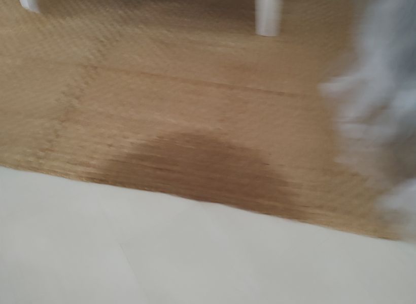 carpet-before 2