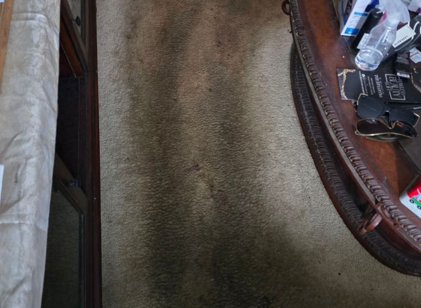 carpet-before 3
