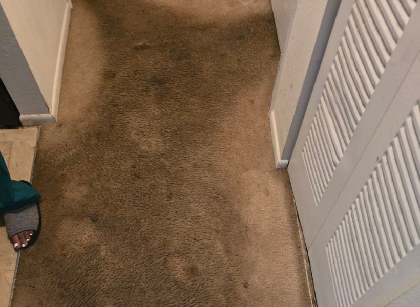 carpet-before 4