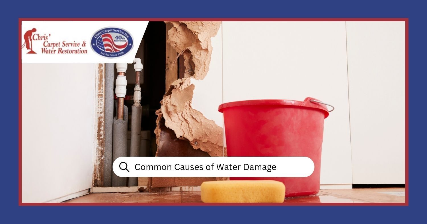 Discover the Common Causes of Water Damage and How to Protect Your Home
