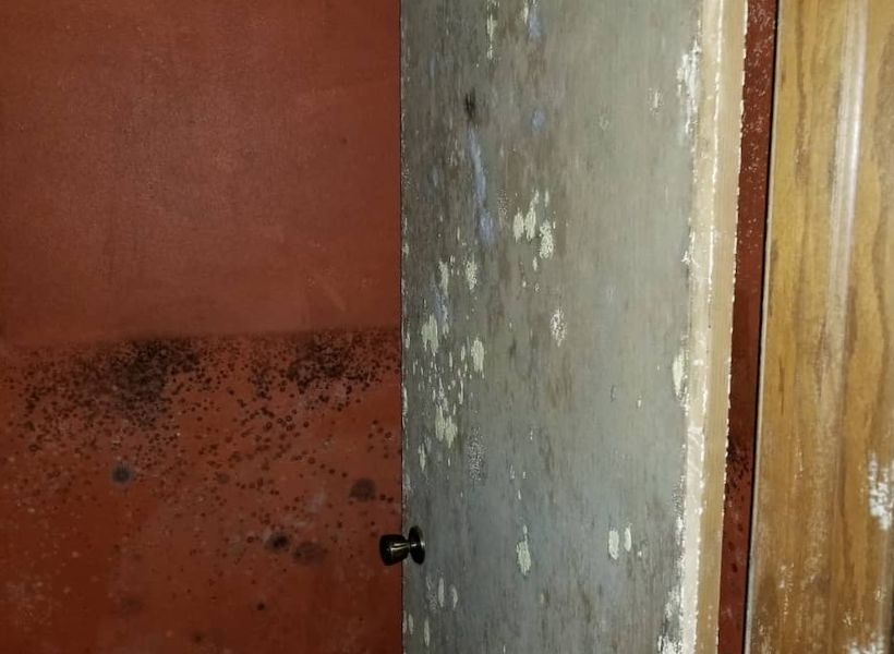 door and mold damage