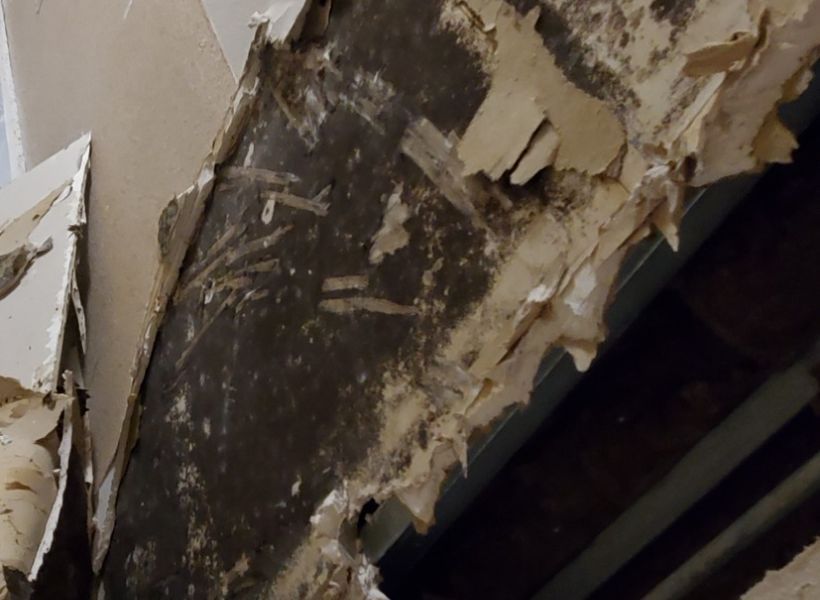 drywall