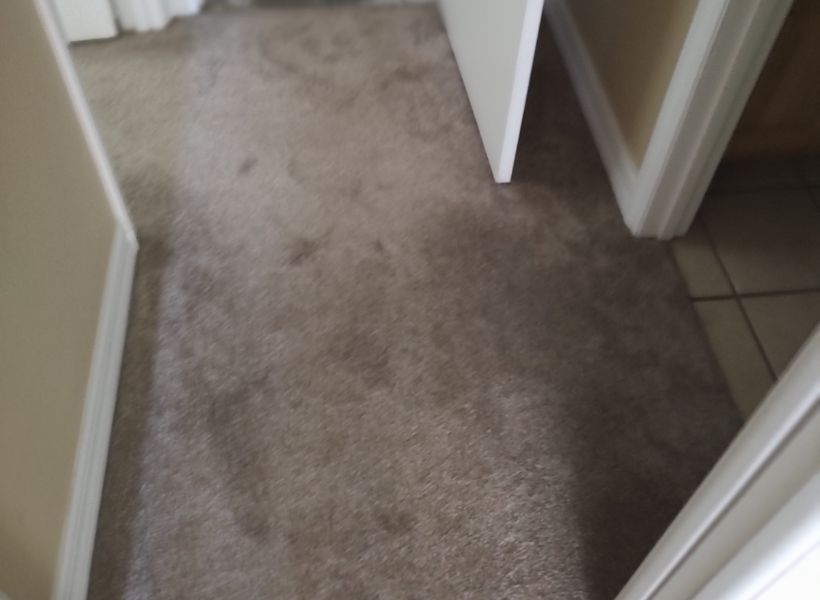 hallway-5th floor 