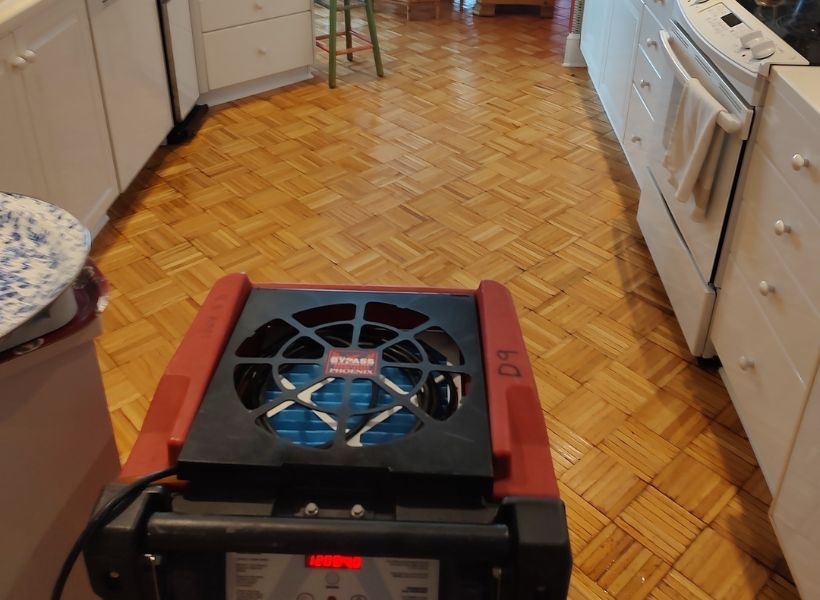 kitchen dryout