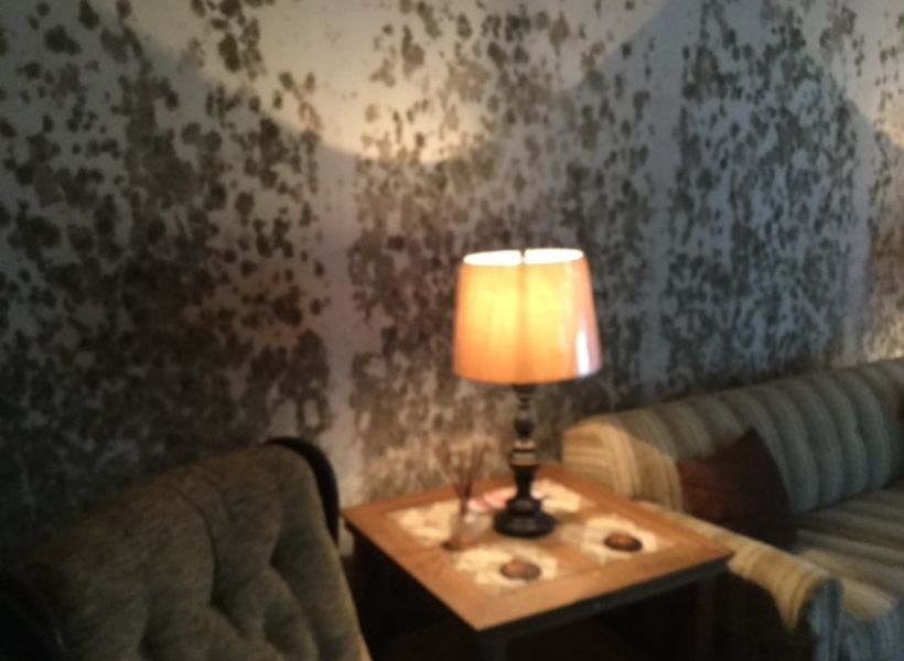 living room walls 1