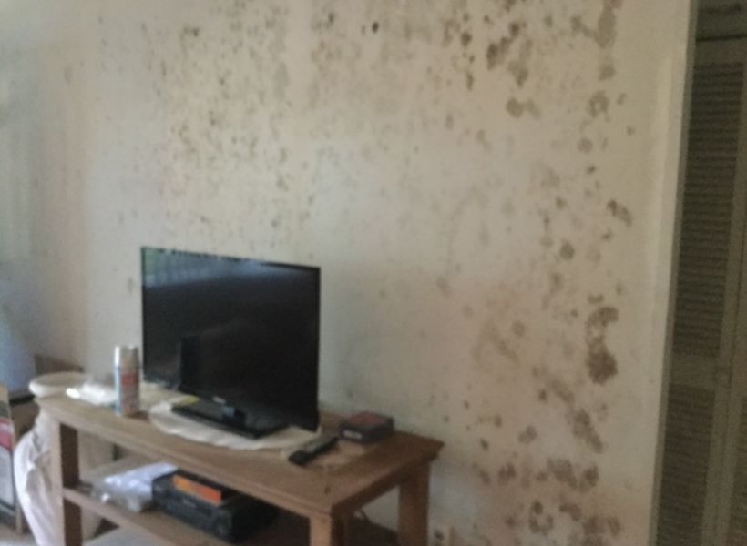 living room walls 2