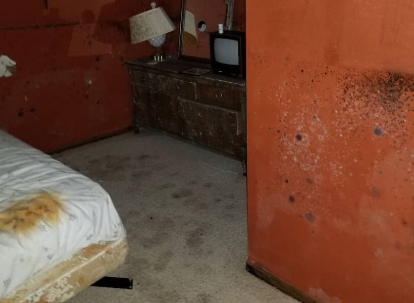 mold affected all surfaces in the bedroom