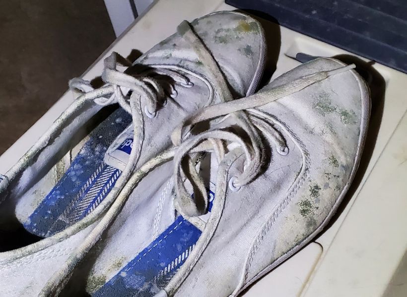 moldy sneakers