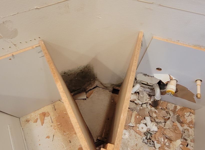 moldy wall 1