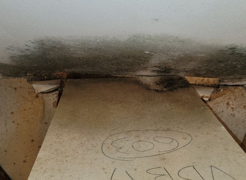 moldy wall 2
