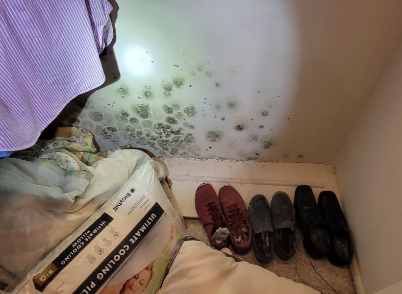 moldy wall 3