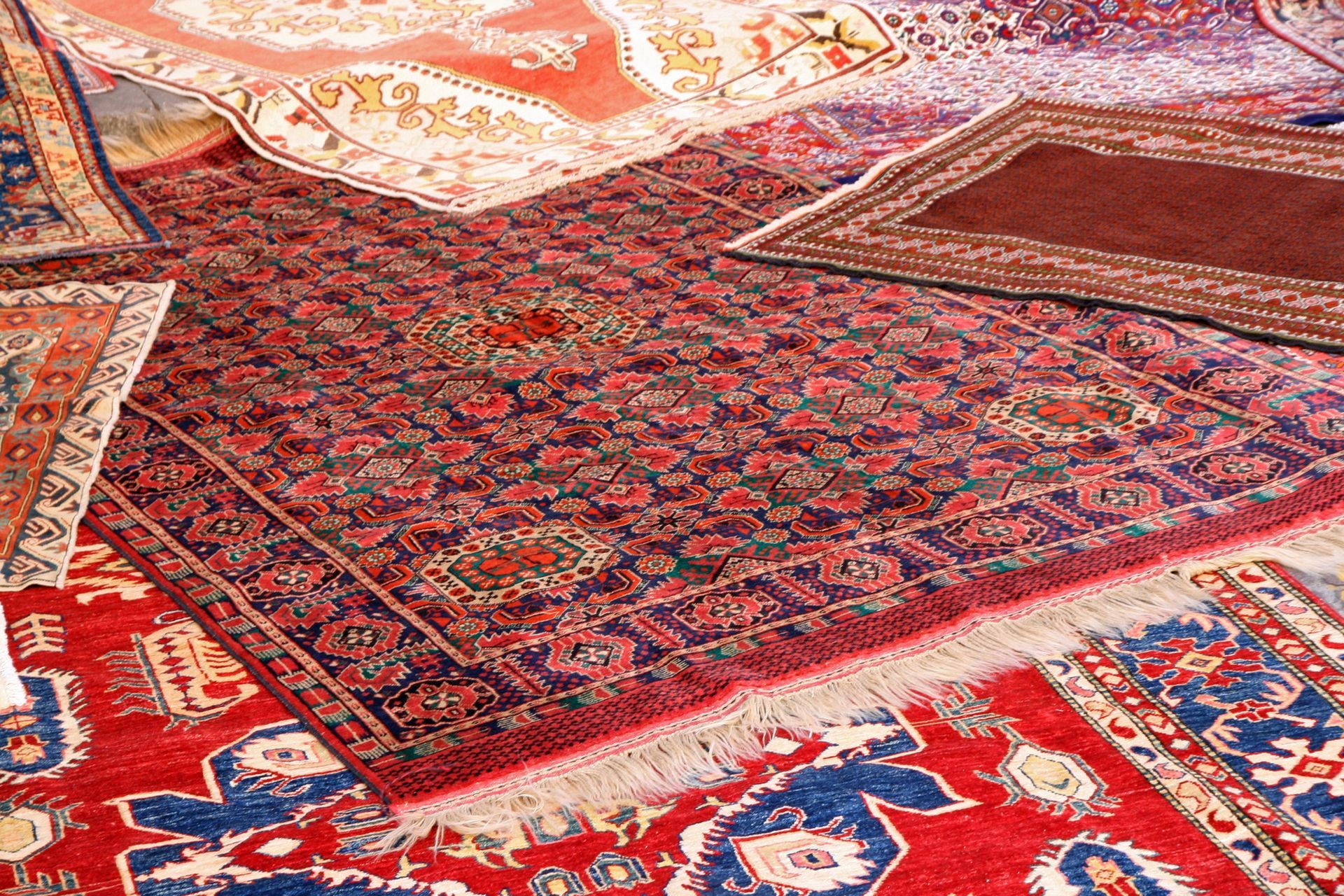 Rug Cleaning in Largo, FL