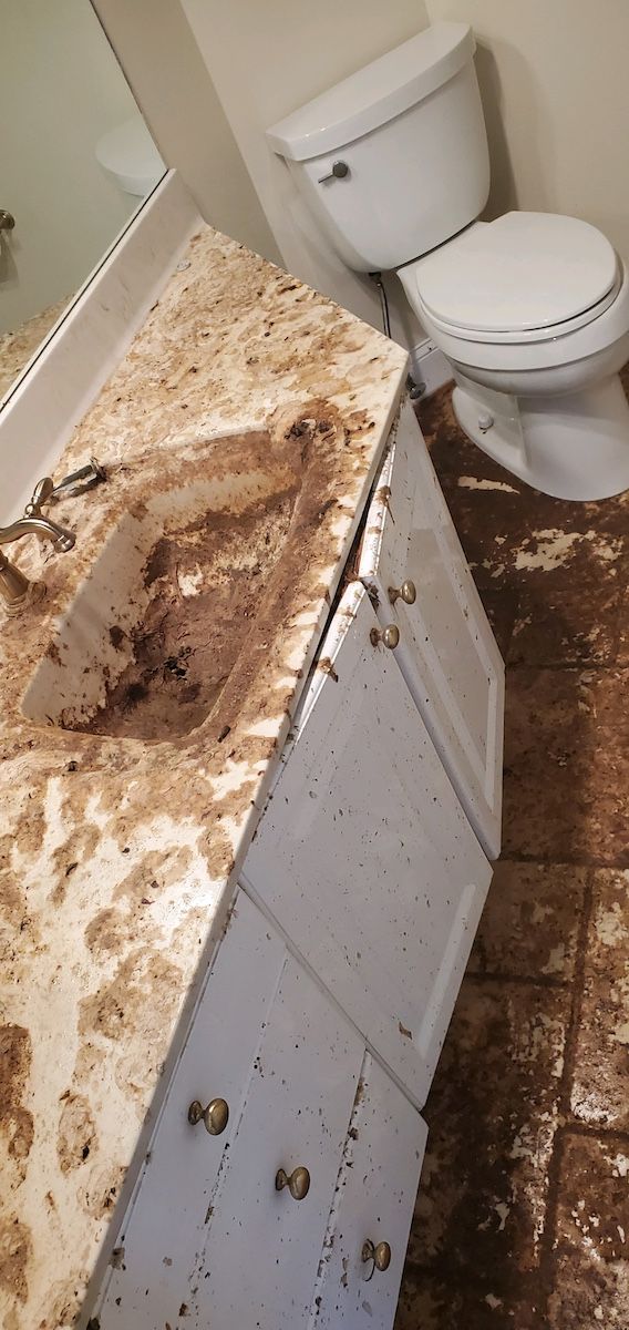 sewage cleanup