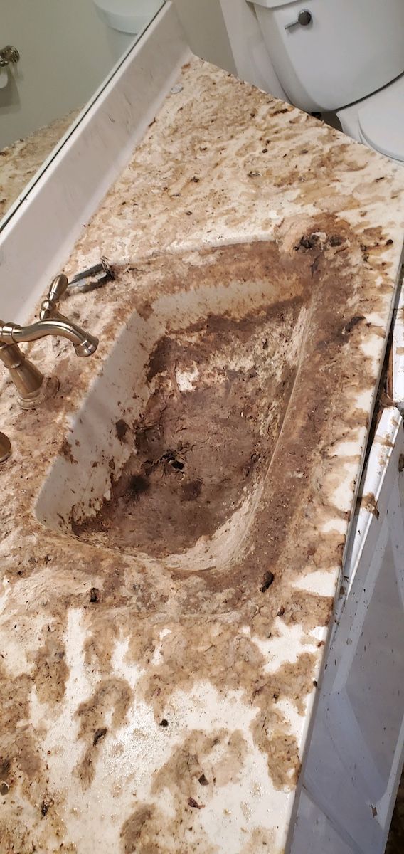 sewage cleanup