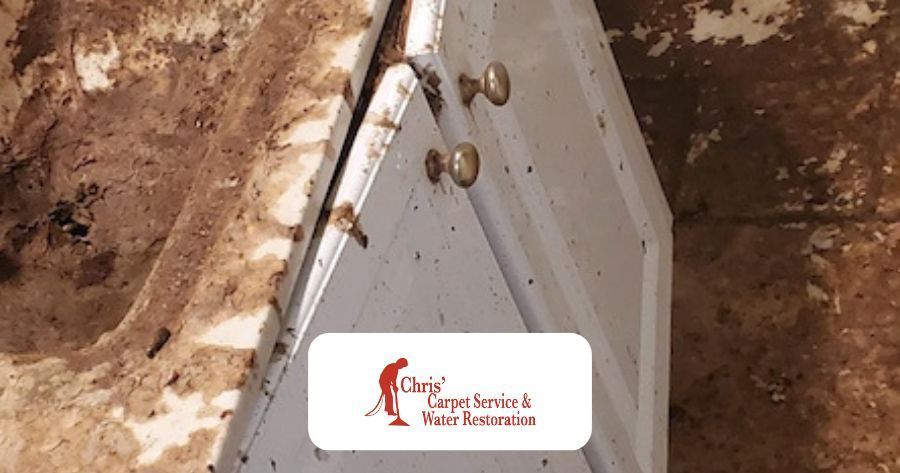 Quick Response to a Sewage Overflow in a Largo Home Bathroom