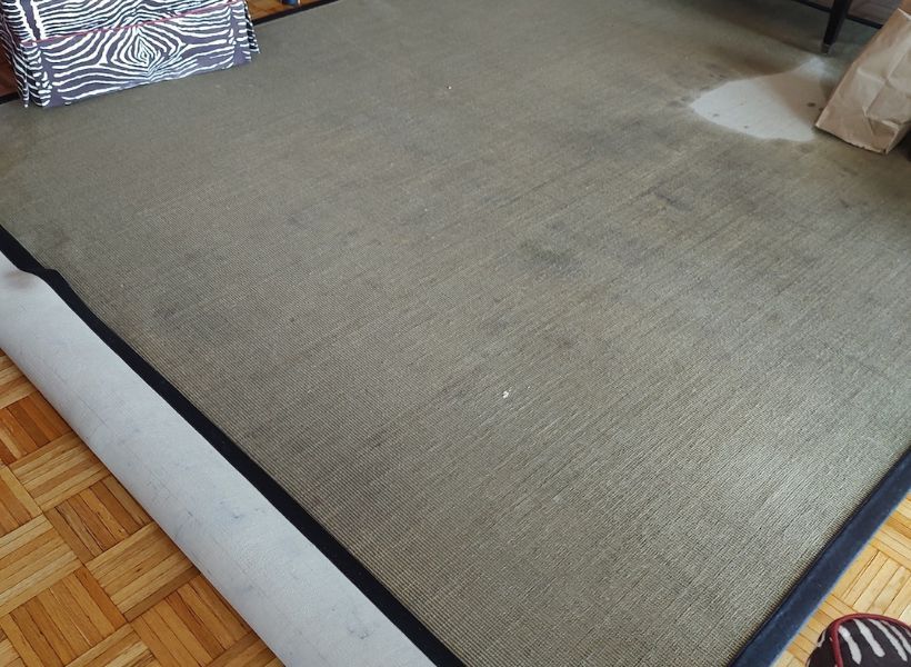 soaked carpet