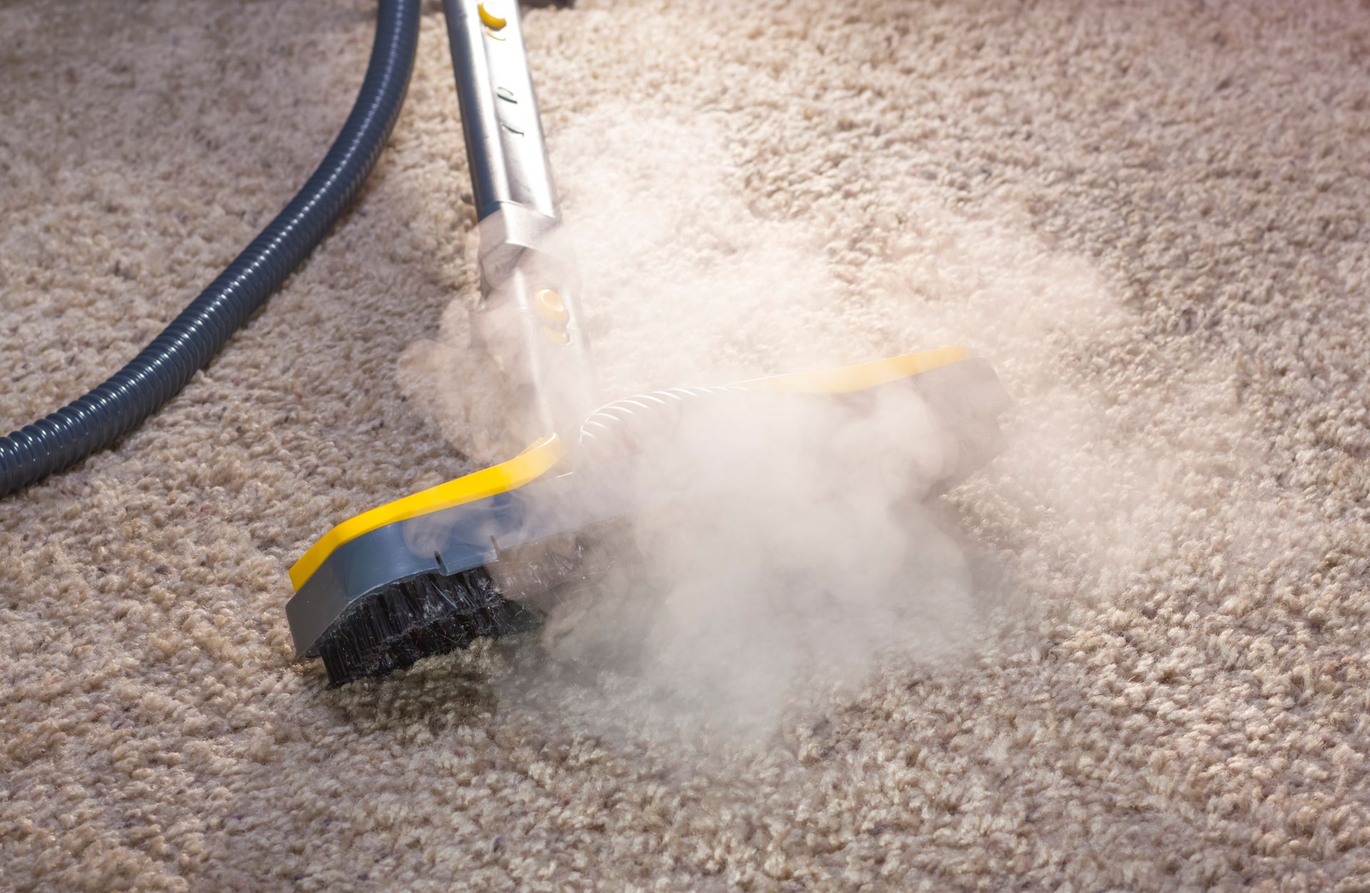 Steam Cleaning in Largo, FL