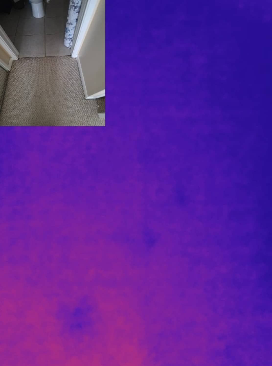 Bathroom thermal reading detecting water damage
