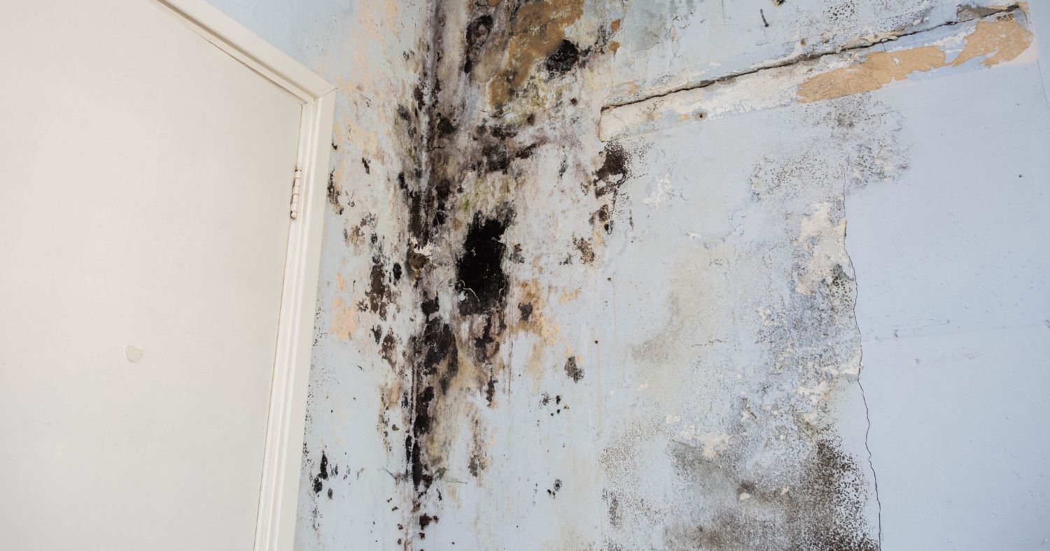 Types of Water Damage: Understanding the Different Categories and Their Impact