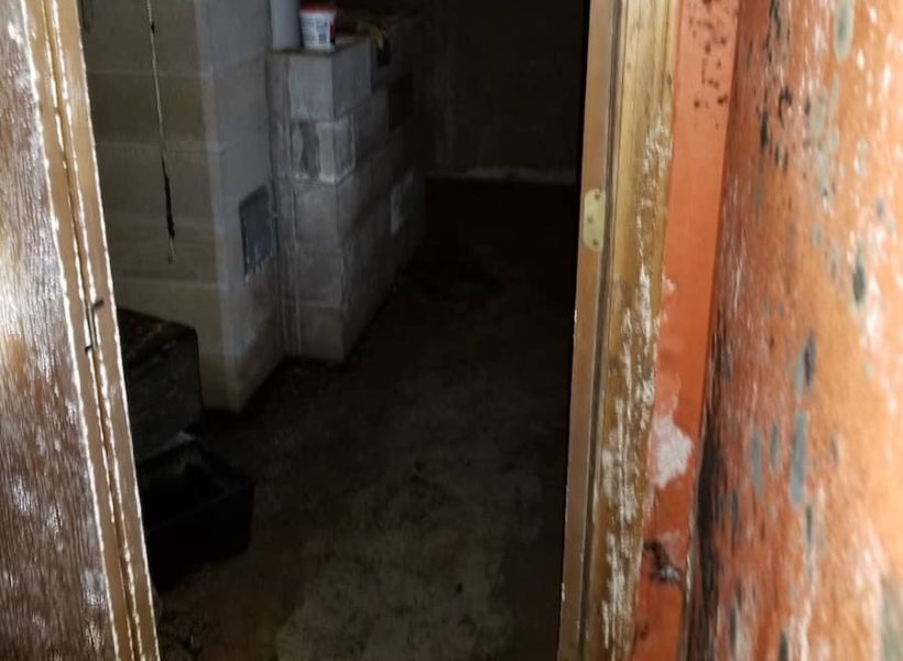 visible mold growth on door frames and carpets in the living room
