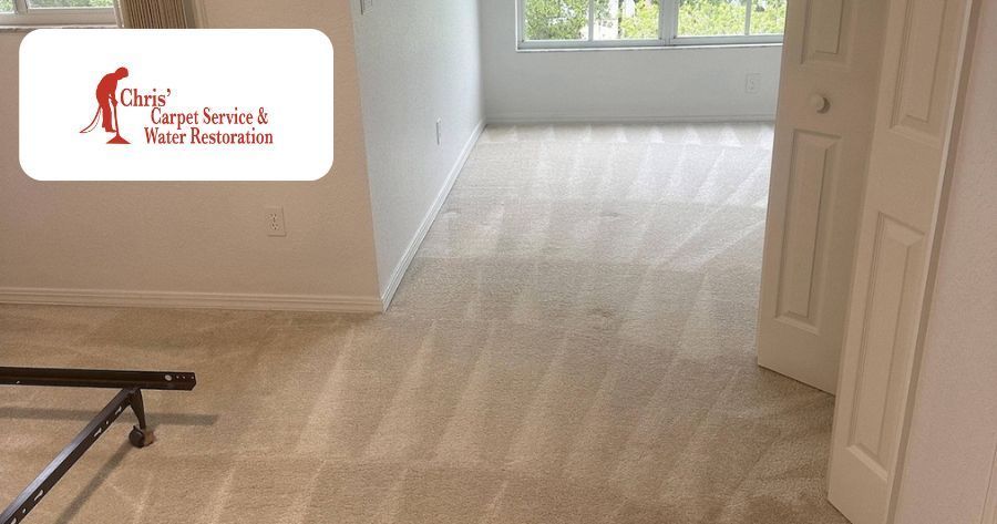 Tackling Wall-to-Wall Carpet Cleaning