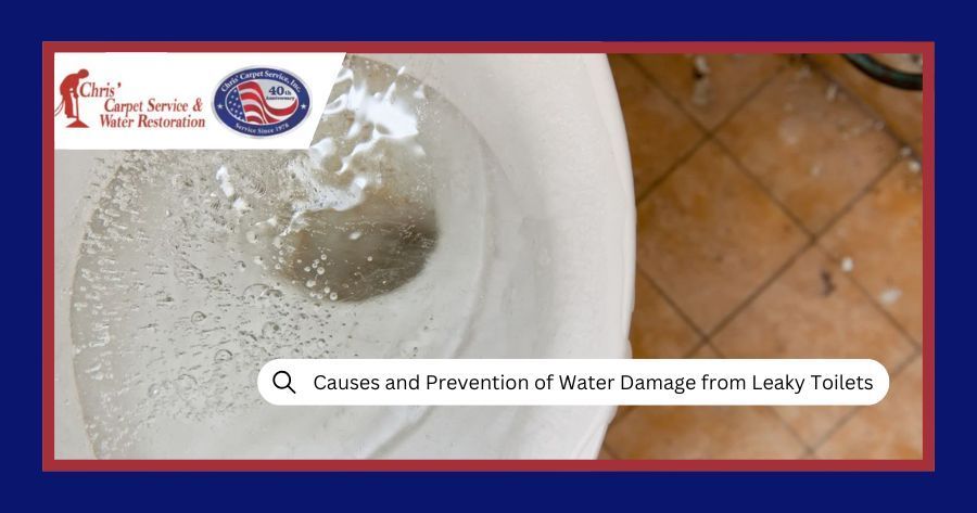 Causes And Prevention of Water Damage from Leaky Toilets
