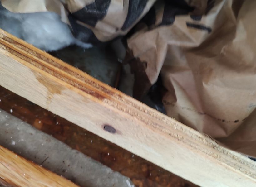 water-damaged materials