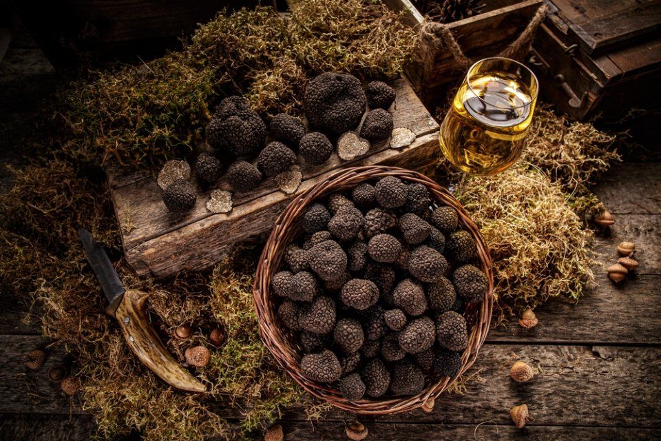 tartufi appena raccolti