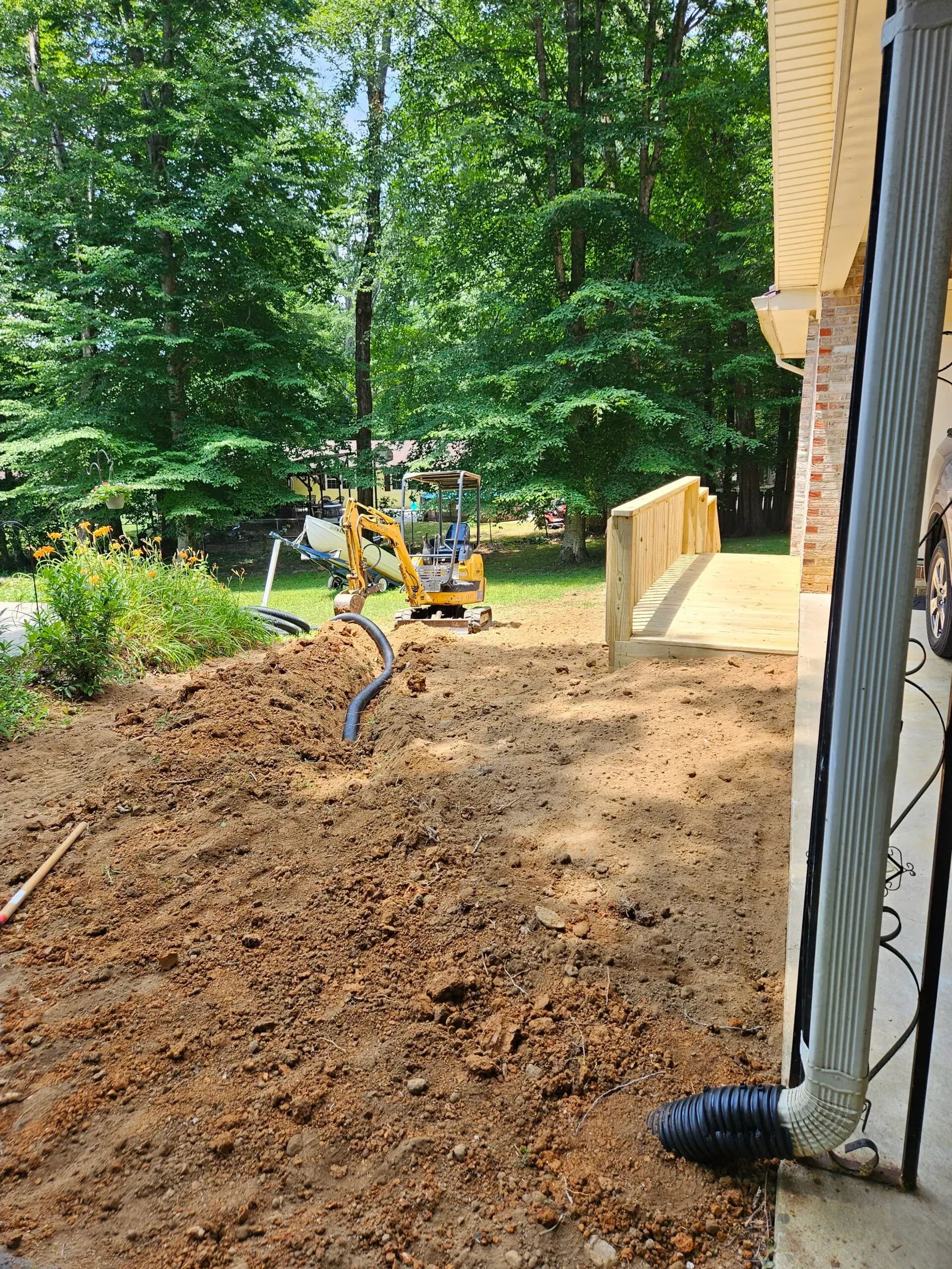 Freshly tilled garden bed beside a house with a small sapling and wooded backyard beyond