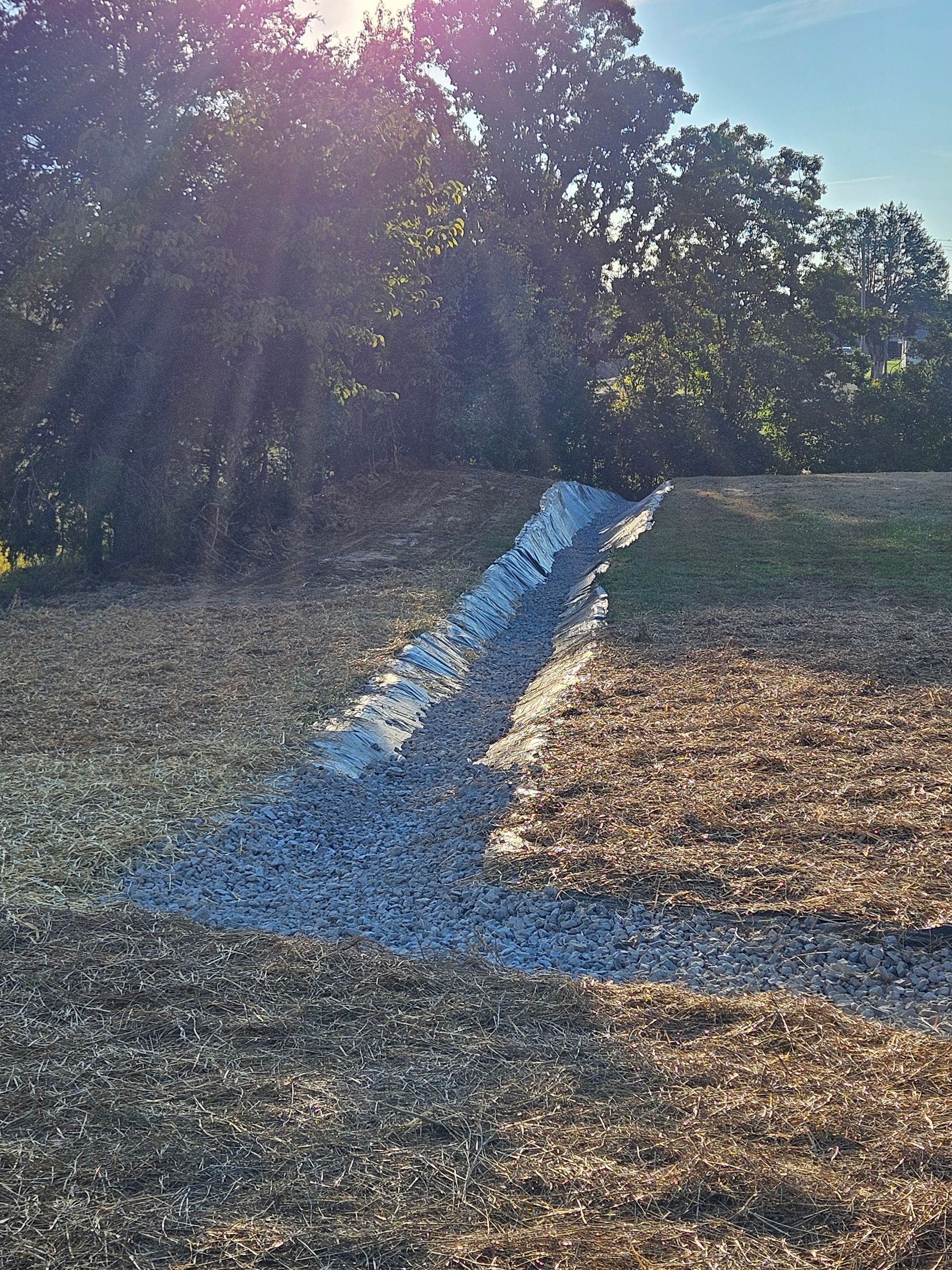 Sunlit gravel path winding through a wooded area with dry grass and trees