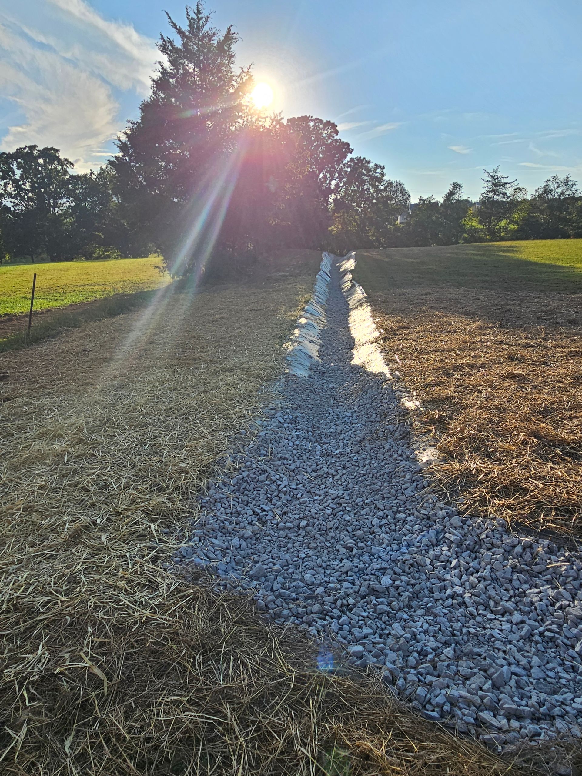 Sunlit gravel path beside grassy field and trees, with a bright white stripe in the foreground