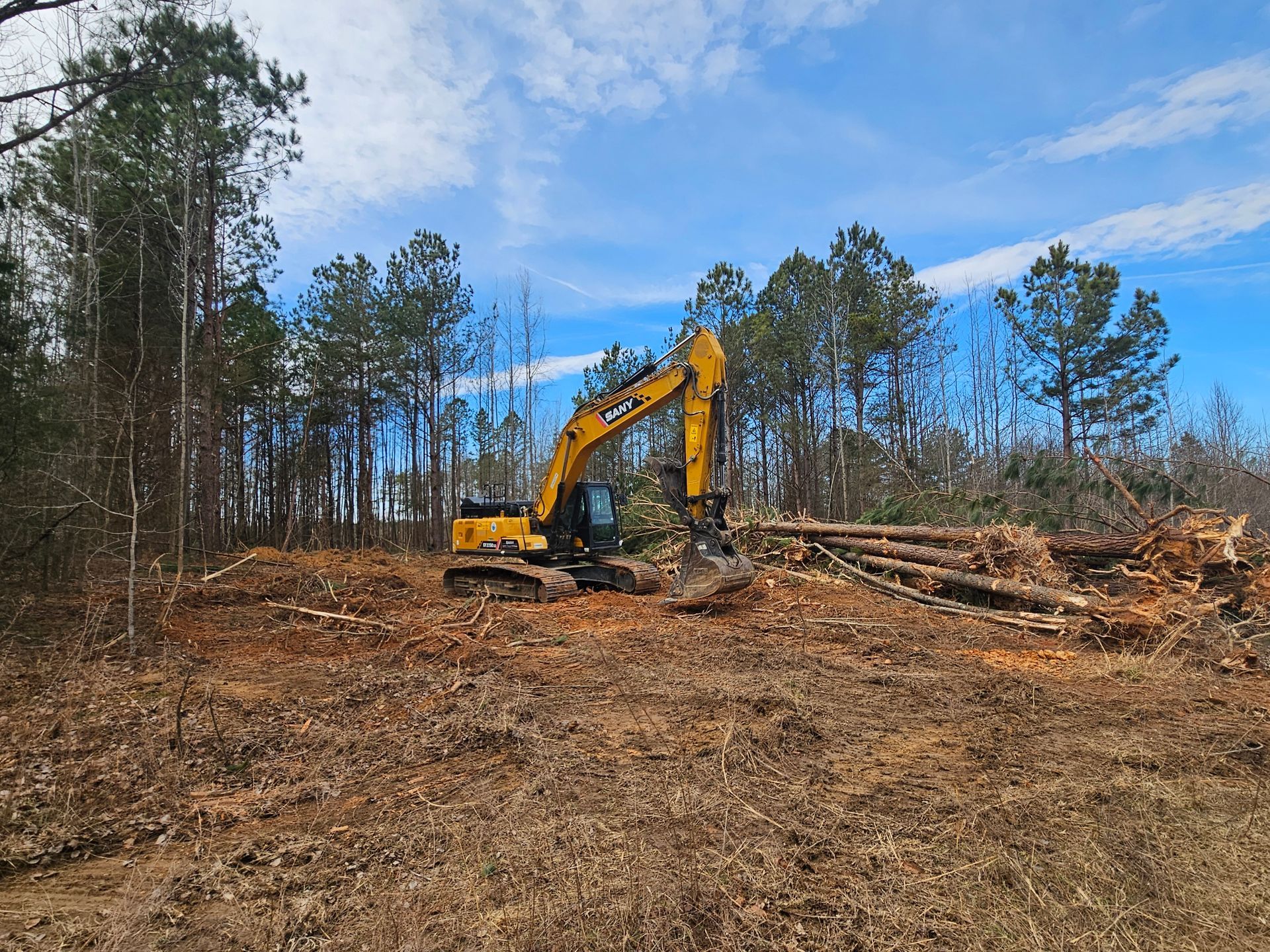 Yellow excavator clearing brush in a wooded area under a blue sky